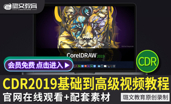 CDR2019基础入门平面设计美工包装绘图海报设计排版视频实操教程